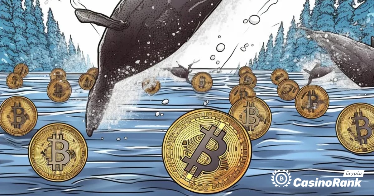 Mouvements des baleines sur le marché des crypto-monnaies : transfert des jetons MATIC et SOL